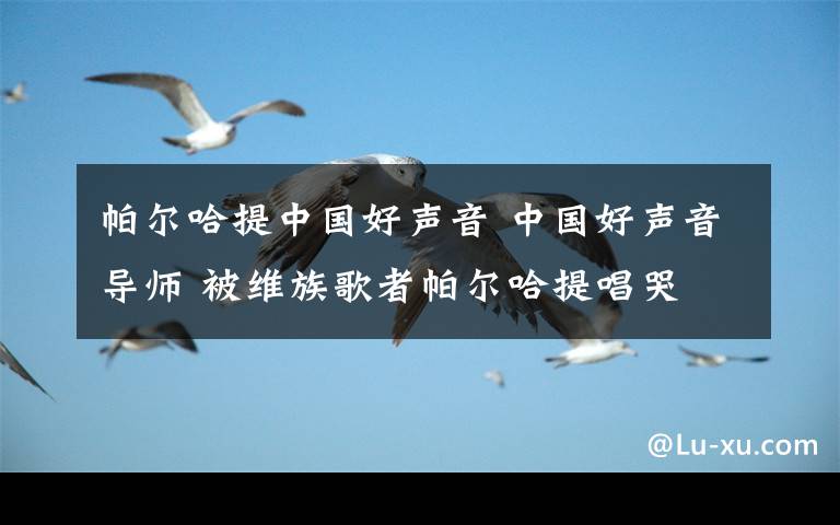 帕尔哈提中国好声音 中国好声音导师 被维族歌者帕尔哈提唱哭