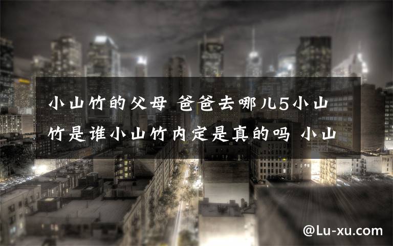 小山竹的父母 爸爸去哪儿5小山竹是谁小山竹内定是真的吗 小山竹家庭背景曝光小山竹个人资料