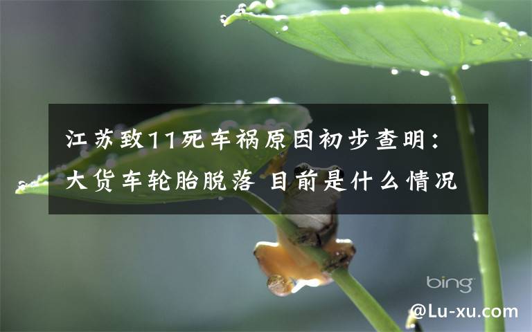 江苏致11死车祸原因初步查明:大货车轮胎脱落 目前是什么情况?