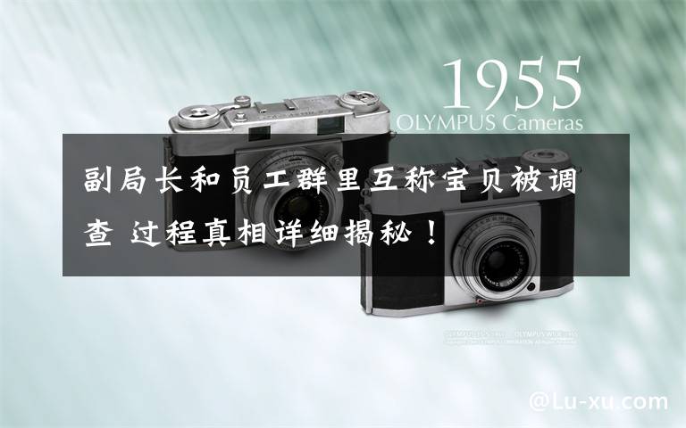 副局长和员工群里互称宝贝被调查 过程真相详细揭秘!