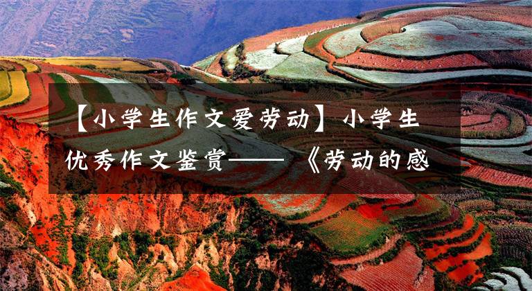 【小学生作文爱劳动】小学生优秀作文鉴赏—— 《劳动的感觉真好》