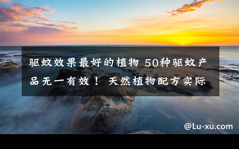 驱蚊效果最好的植物 50种驱蚊产品无一有效! 天然植物配方实际含量非常低