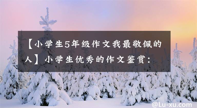 【小学生5年级作文我最敬佩的人】小学生优秀的作文鉴赏:这样的人让我尊敬。