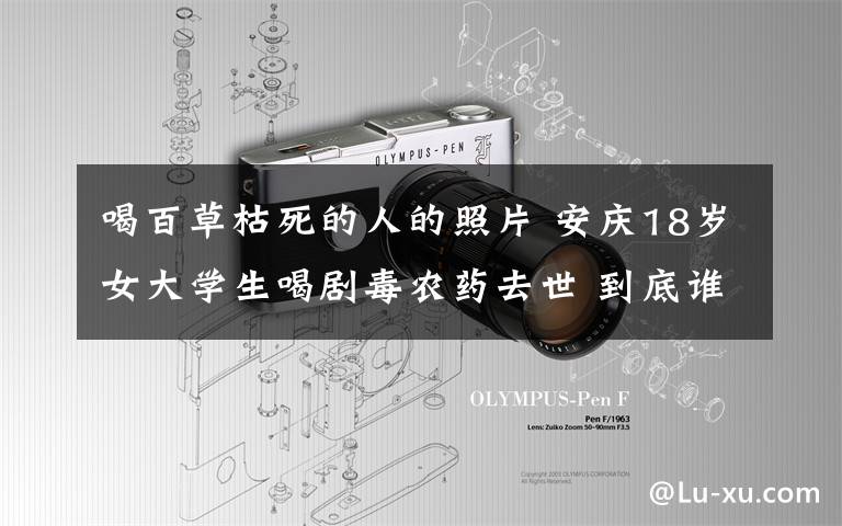 喝百草枯死的人的照片 安庆18岁女大学生喝剧毒农药去世 到底谁还在卖百草枯?