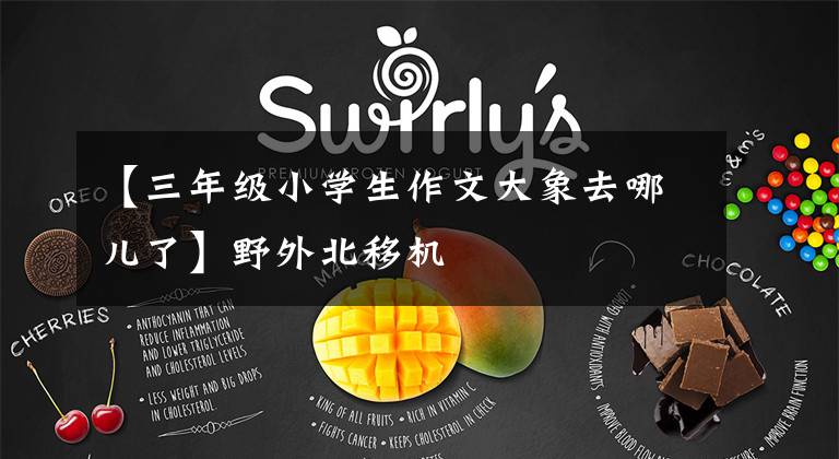 【三年级小学生作文大象去哪儿了】野外北移机