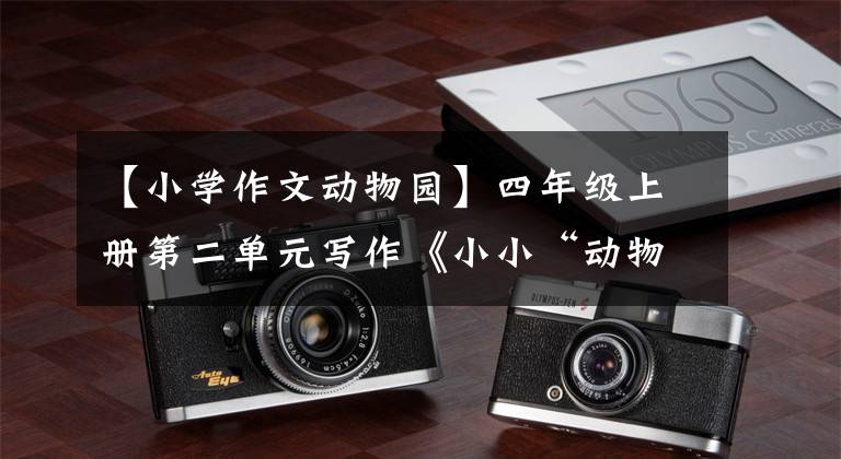 【小学作文动物园】四年级上册第二单元写作《小小“动物园”》
