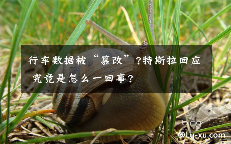 行车数据被“篡改”?特斯拉回应 究竟是怎么一回事?