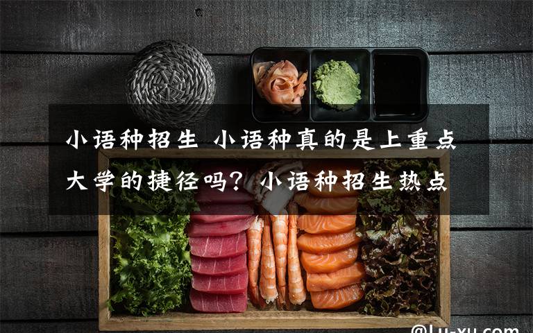 小语种招生 小语种真的是上重点大学的捷径吗?小语种招生热点问题全解读!