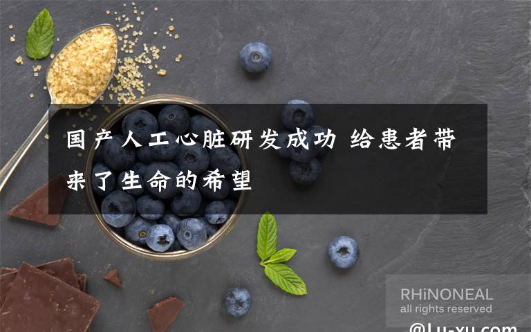 国产人工心脏研发成功 给患者带来了生命的希望