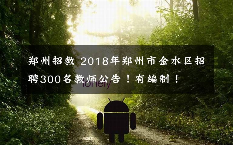 郑州招教 2018年郑州市金水区招聘300名教师公告!有编制!
