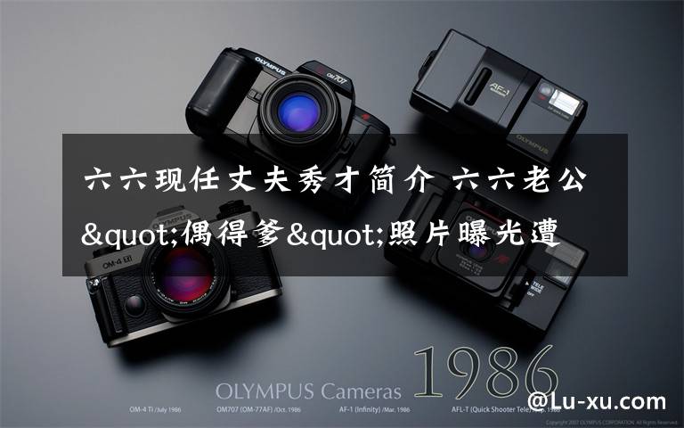 六六现任丈夫秀才简介 六六老公"偶得爹"照片曝光遭骂 不止一次找小三