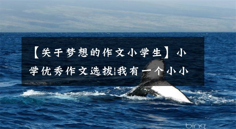 【关于梦想的作文小学生】小学优秀作文选拔|我有一个小小的梦想