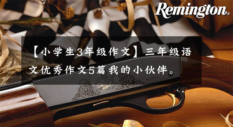 【小学生3年级作文】三年级语文优秀作文5篇我的小伙伴。