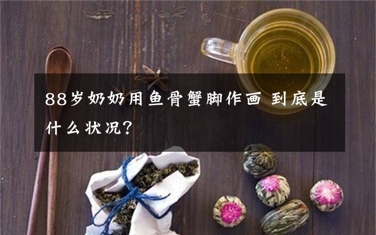 88岁奶奶用鱼骨蟹脚作画 到底是什么状况?