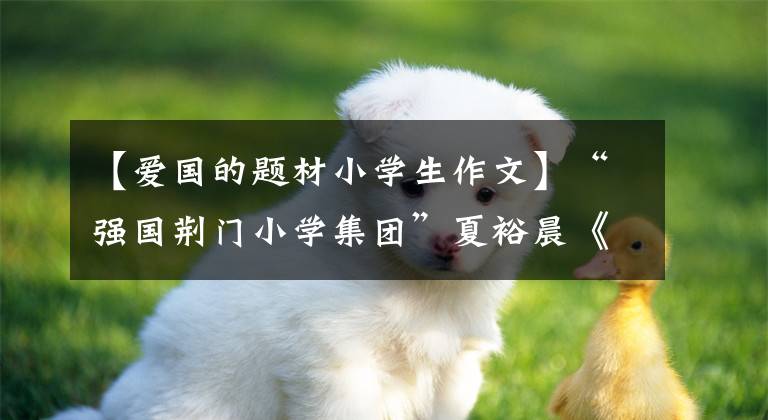 【爱国的题材小学生作文】“强国荆门小学集团”夏裕晨《爱祖国,从我做起》