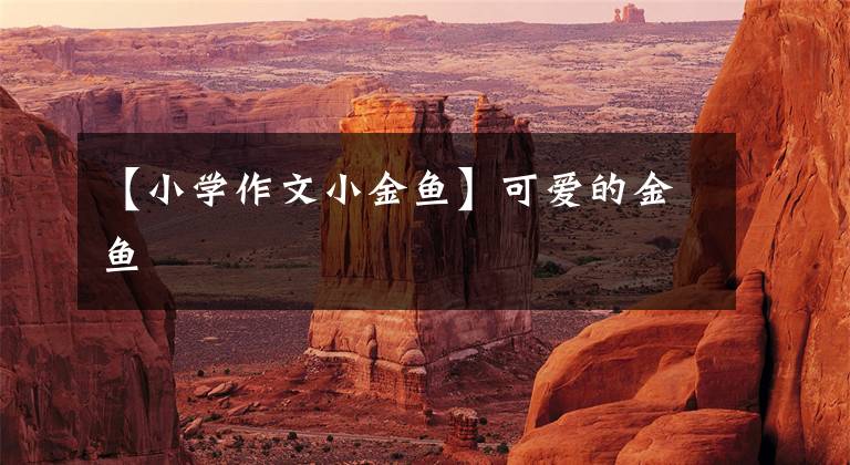 【小学作文小金鱼】可爱的金鱼