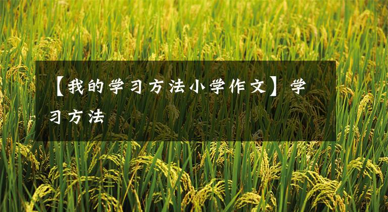 【我的学习方法小学作文】学习方法