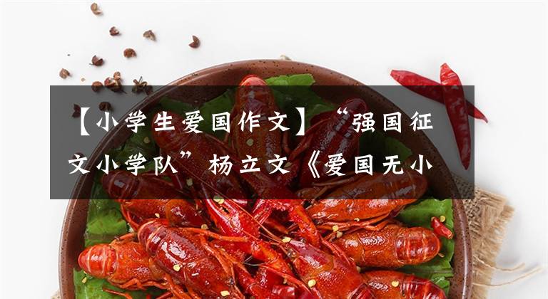 【小学生爱国作文】“强国征文小学队”杨立文《爱国无小事》