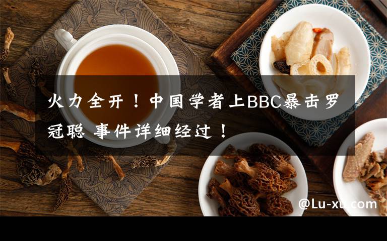 火力全开!中国学者上BBC暴击罗冠聪 事件详细经过!