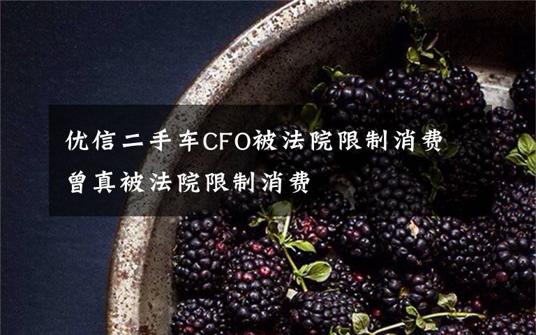 优信二手车CFO被法院限制消费 曾真被法院限制消费