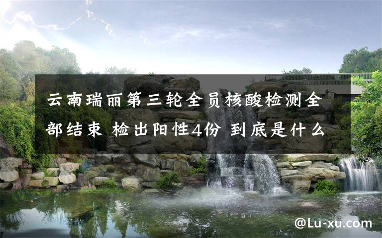 云南瑞丽第三轮全员核酸检测全部结束 检出阳性4份 到底是什么状况?