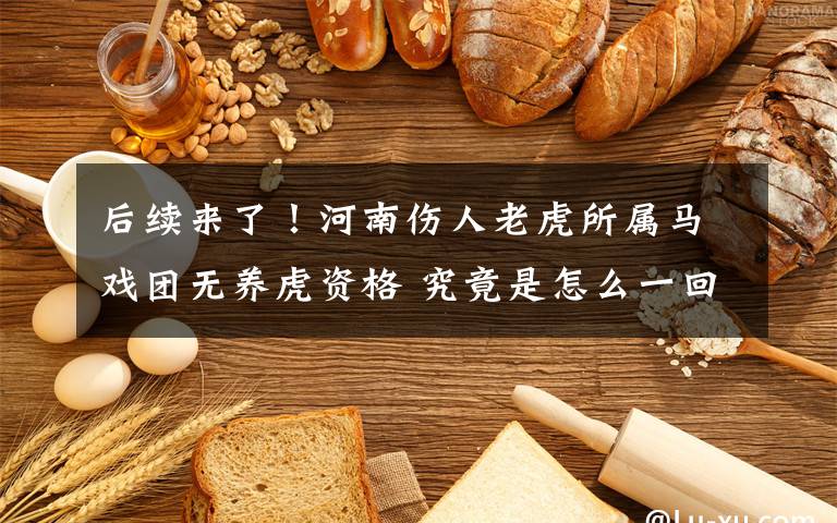 后续来了！河南伤人老虎所属马戏团无养虎资格 究竟是怎么一回事?