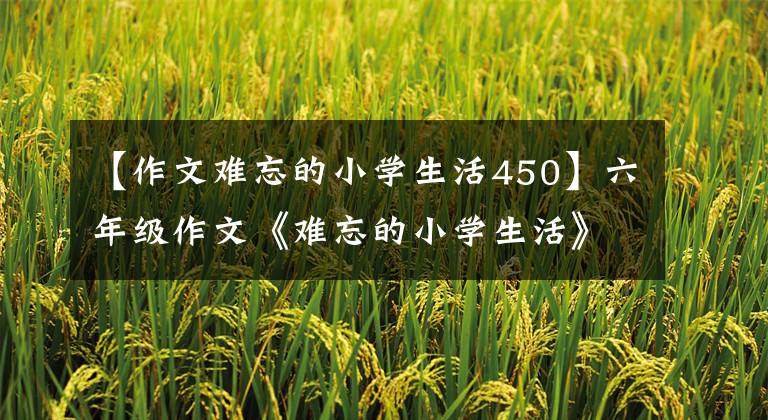 【作文难忘的小学生活450】六年级作文《难忘的小学生活》字,作文400字。