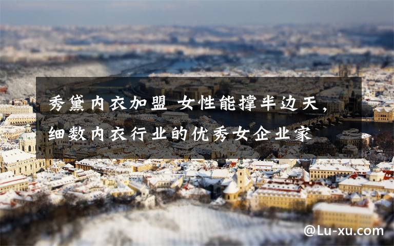秀黛内衣加盟 女性能撑半边天,细数内衣行业的优秀女企业家