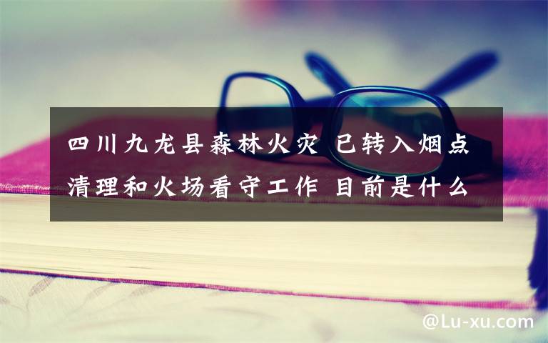 四川九龙县森林火灾 已转入烟点清理和火场看守工作 目前是什么情况?