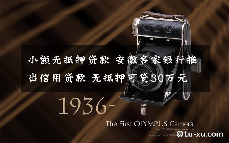 小额无抵押贷款 安徽多家银行推出信用贷款 无抵押可贷30万元