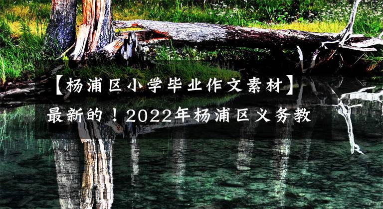 【杨浦区小学毕业作文素材】最新的!2022年杨浦区义务教育阶段学校入学实施方案公布