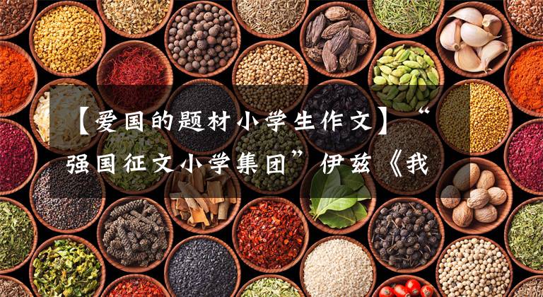 【爱国的题材小学生作文】“强国征文小学集团”伊兹《我爱我的祖国》