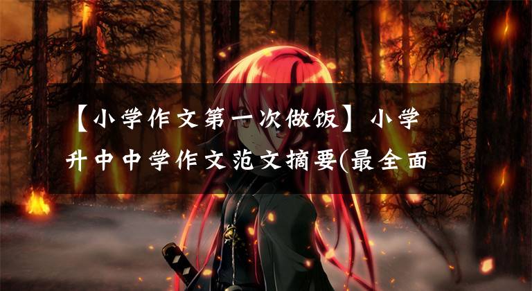 【小学作文第一次做饭】小学升中中学作文范文摘要(最全面)