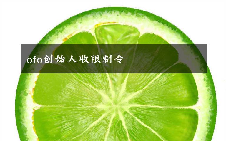 ofo创始人收限制令