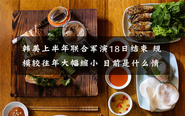 韩美上半年联合军演18日结束 规模较往年大幅缩小 目前是什么情况？