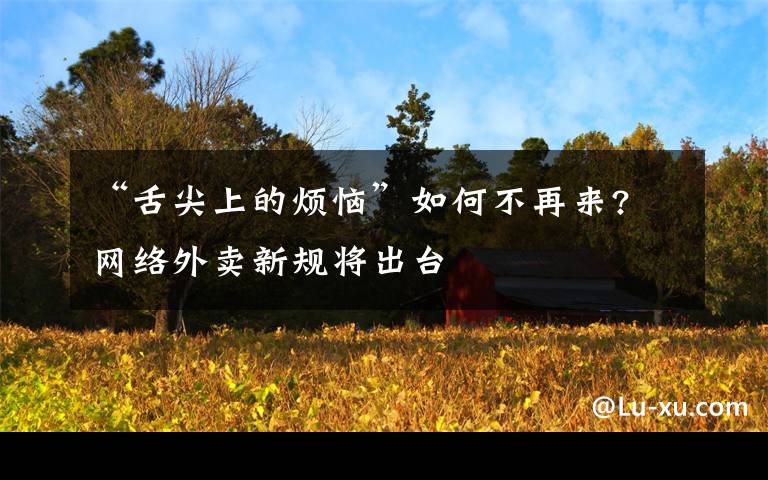 “舌尖上的烦恼”如何不再来? 网络外卖新规将出台