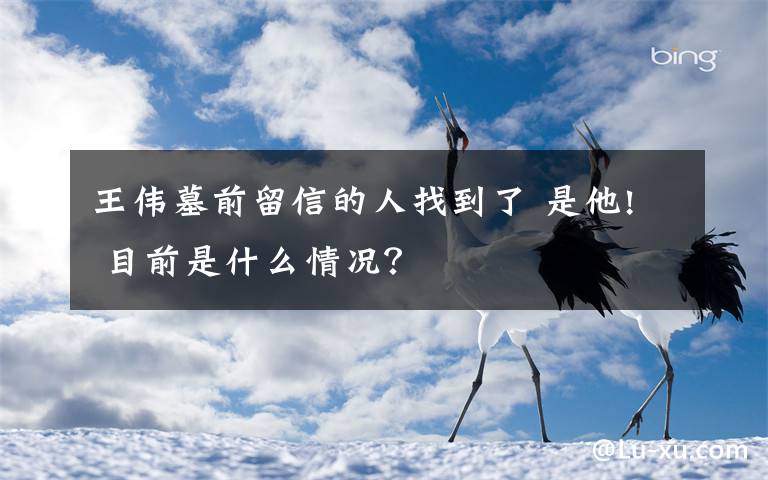 王伟墓前留信的人找到了 是他! 目前是什么情况?