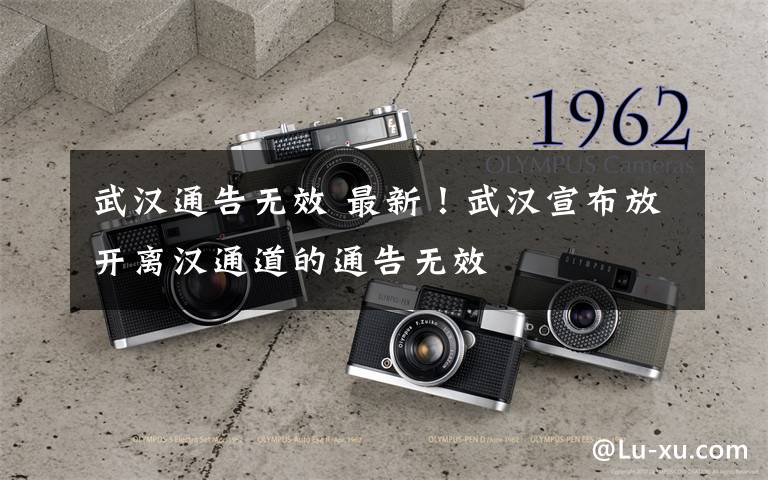 武汉通告无效 最新!武汉宣布放开离汉通道的通告无效