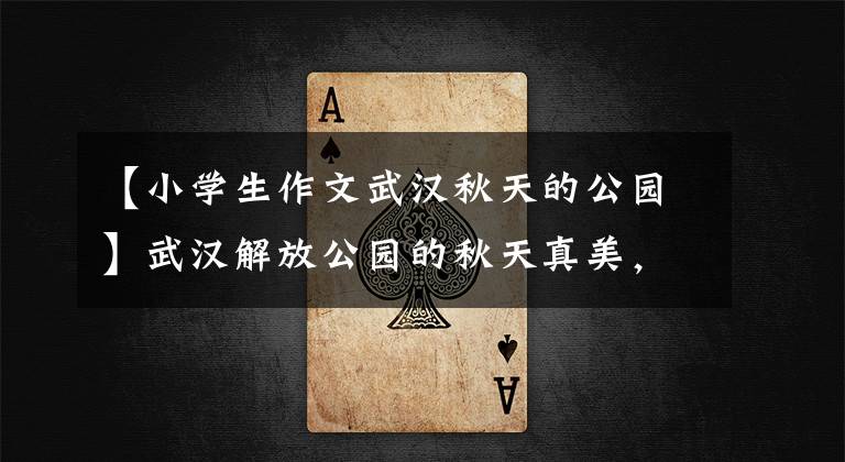 【小学生作文武汉秋天的公园】武汉解放公园的秋天真美，色彩像一幅油画一样斑斓