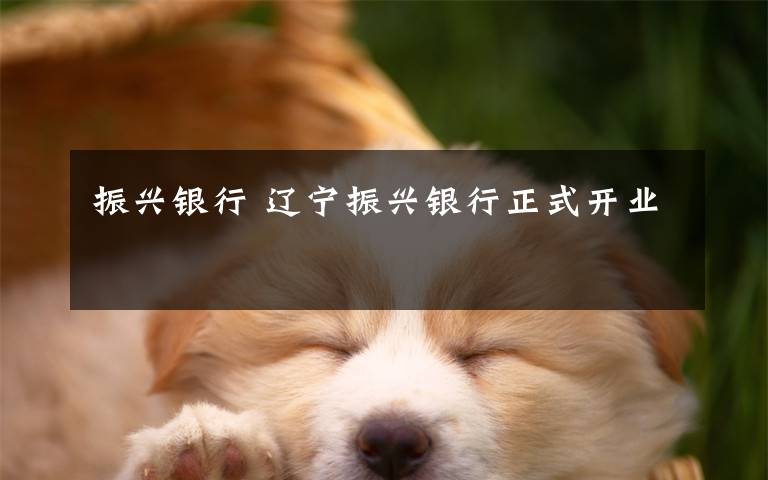 振兴银行 辽宁振兴银行正式开业