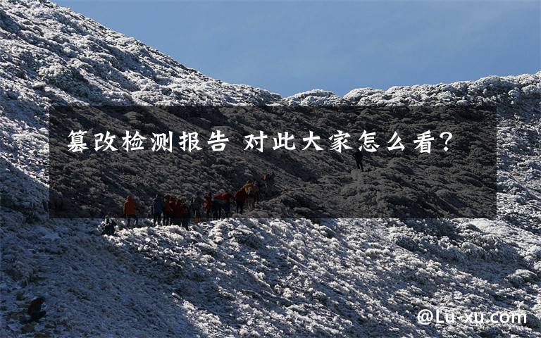 篡改检测报告 对此大家怎么看?