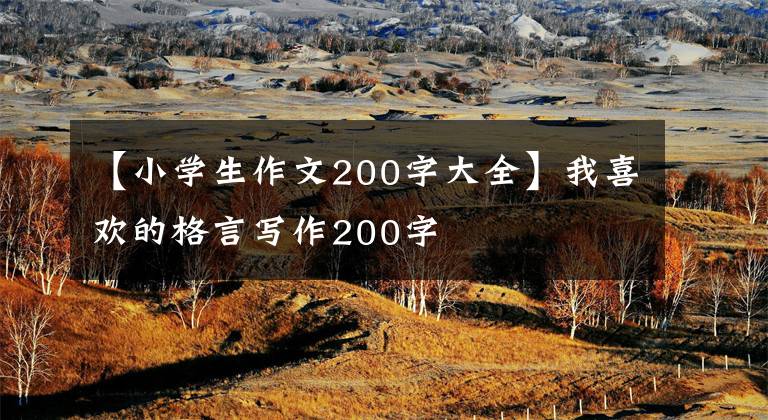 【小学生作文200字大全】我喜欢的格言写作200字