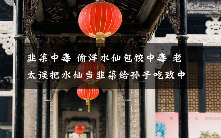 韭菜中毒 偷洋水仙包饺中毒 老太误把水仙当韭菜给孙子吃致中毒