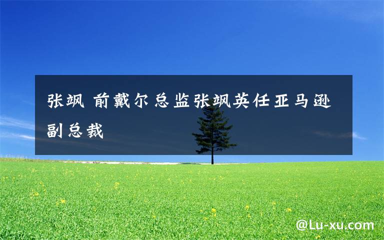 张飒 前戴尔总监张飒英任亚马逊副总裁