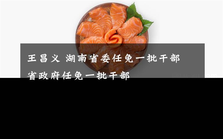 王昌义 湖南省委任免一批干部 省政府任免一批干部
