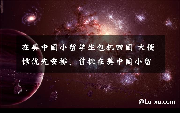 在美中国小留学生包机回国 大使馆优先安排,首批在美中国小留学生包机回国