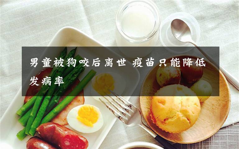 男童被狗咬后离世 疫苗只能降低发病率