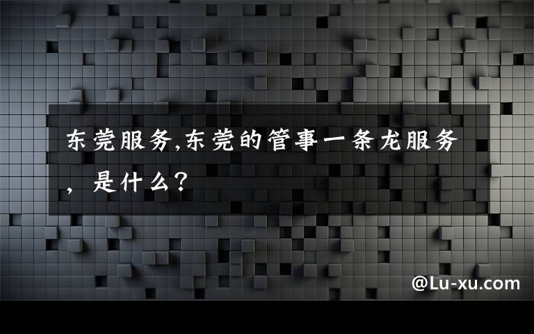东莞服务,东莞的管事一条龙服务,是什么?
