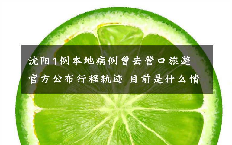 沈阳1例本地病例曾去营口旅游 官方公布行程轨迹 目前是什么情况?