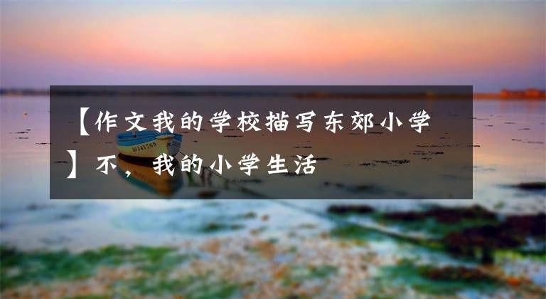 【作文我的学校描写东郊小学】不,我的小学生活